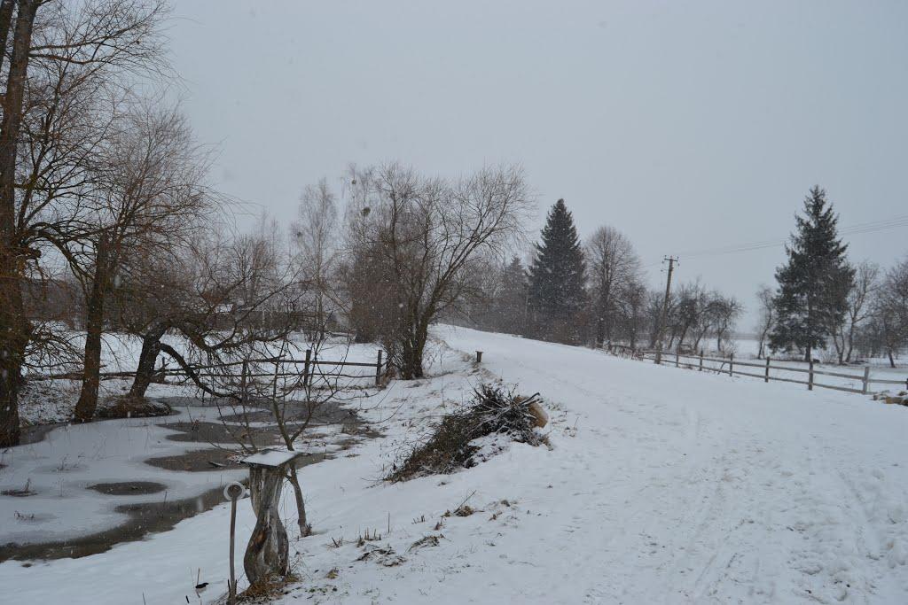 Берегове з panoramio.com - Береговое