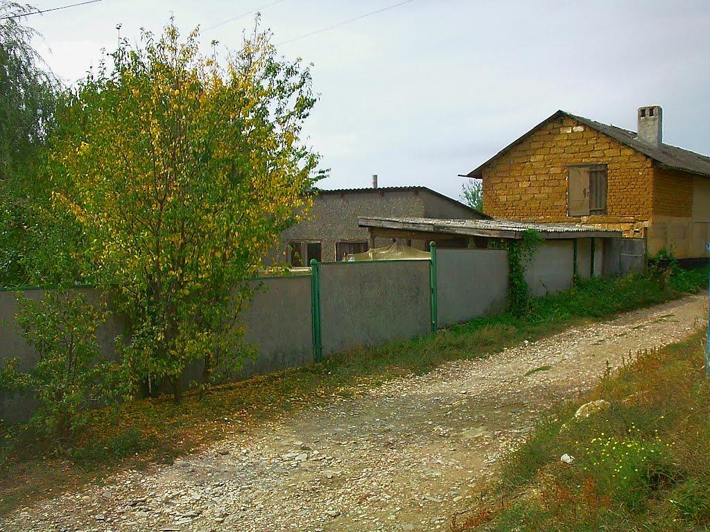 Верхоріччя з panoramio.com - Верхоречье