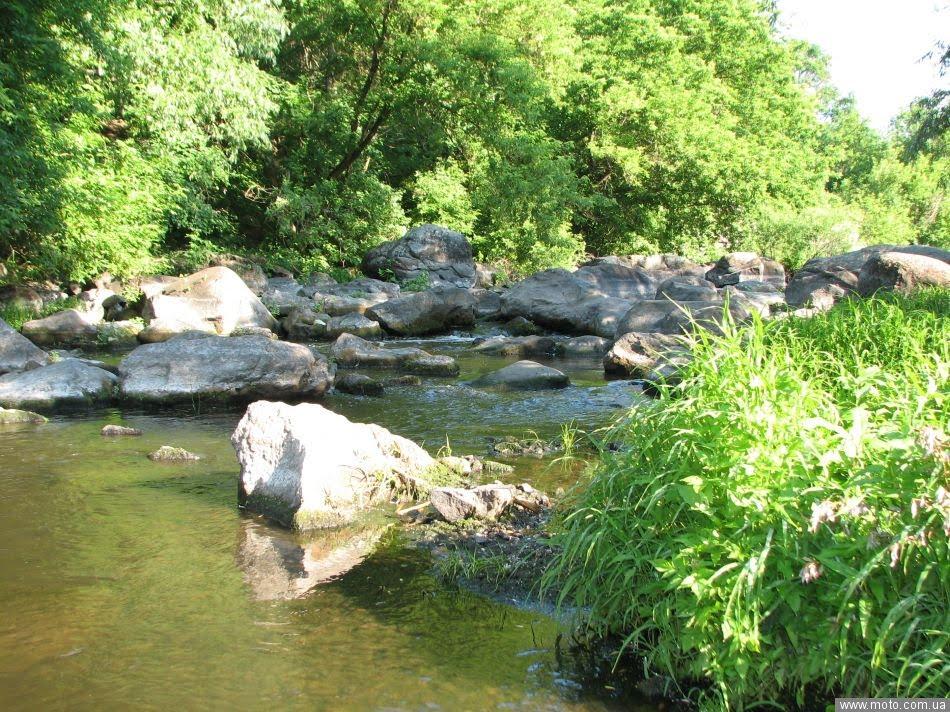 Буки з panoramio.com - Буки