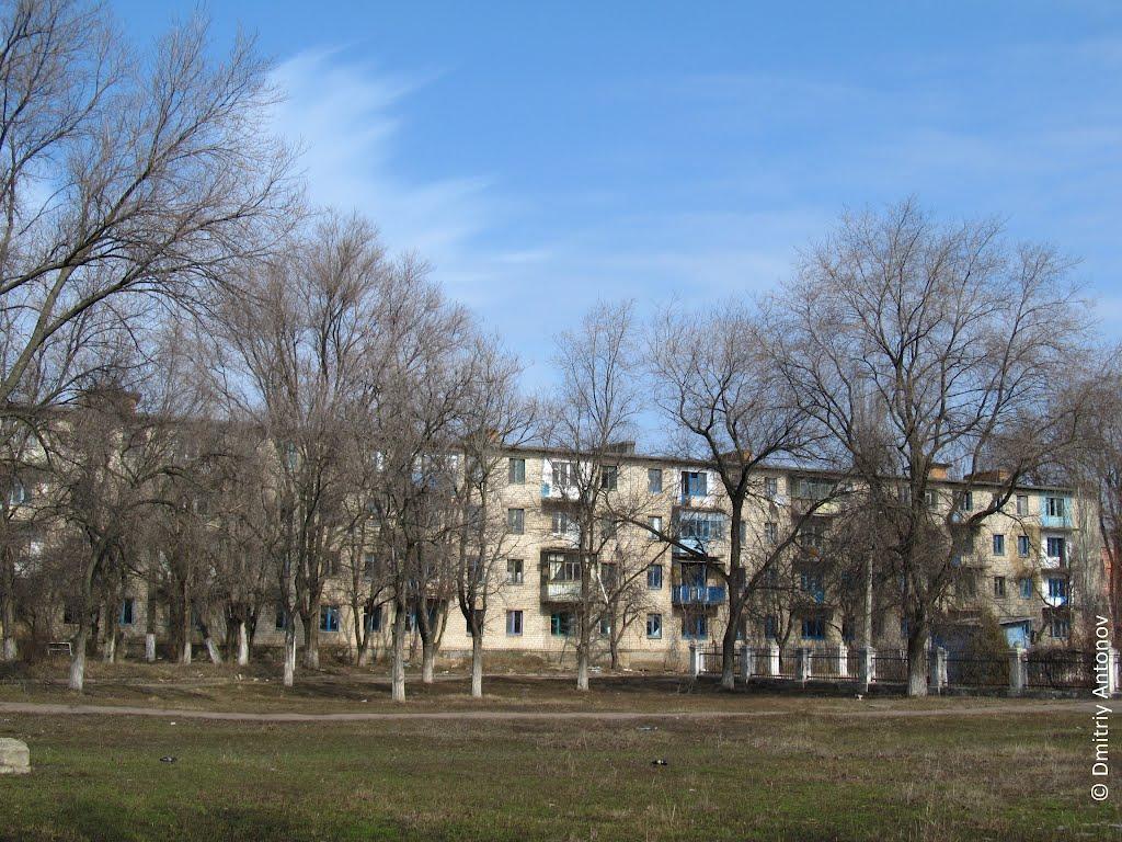 Широка Дача з panoramio.com - Широкая Дача