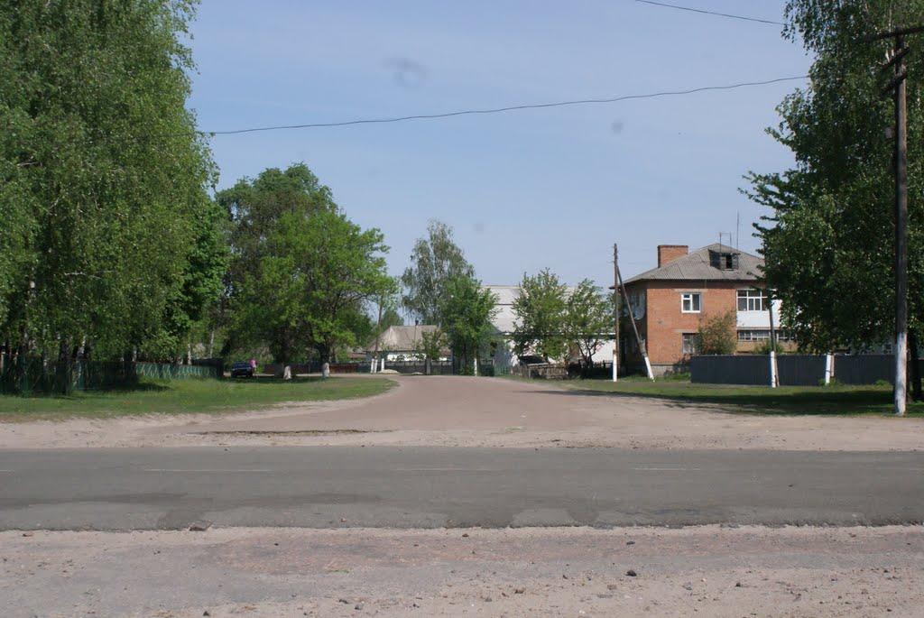 Дорогинка з panoramio.com - Дорогинка