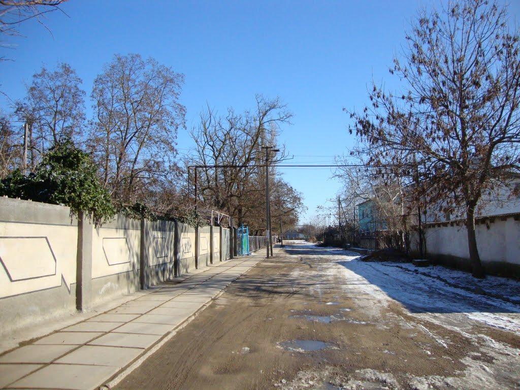 Роздольне з panoramio.com - Rozdolne