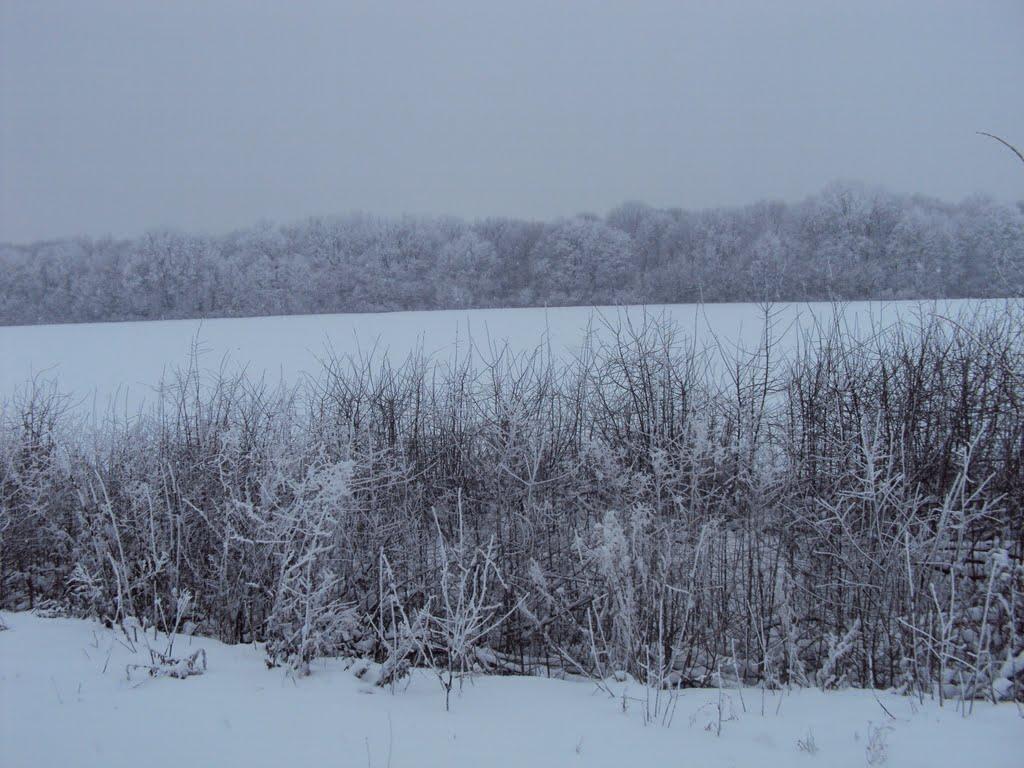 Леськівка з panoramio.com - Леськівка
