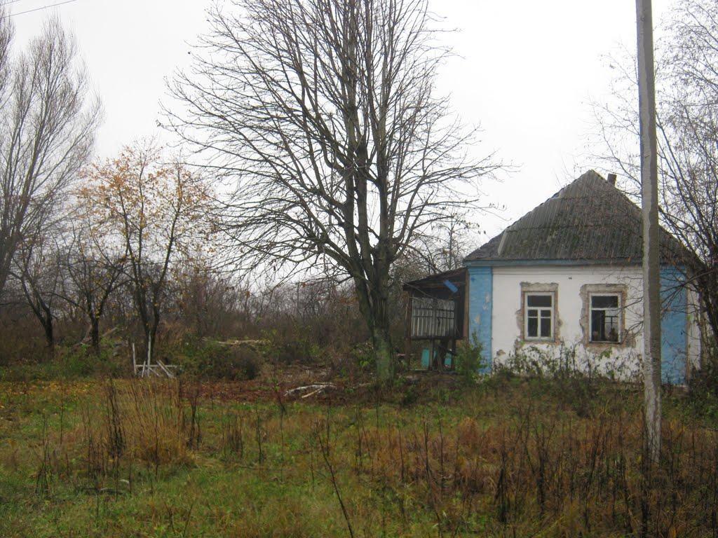 Рогізне з panoramio.com - Рогозное