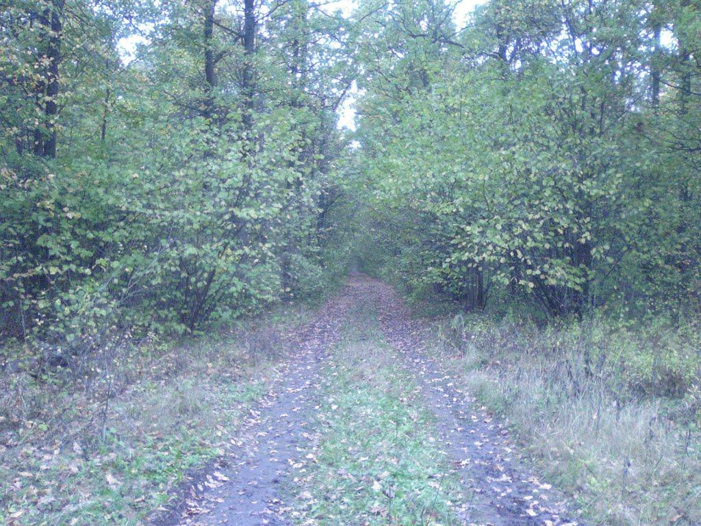 Руська Лозова з panoramio.com - Руська Лозова