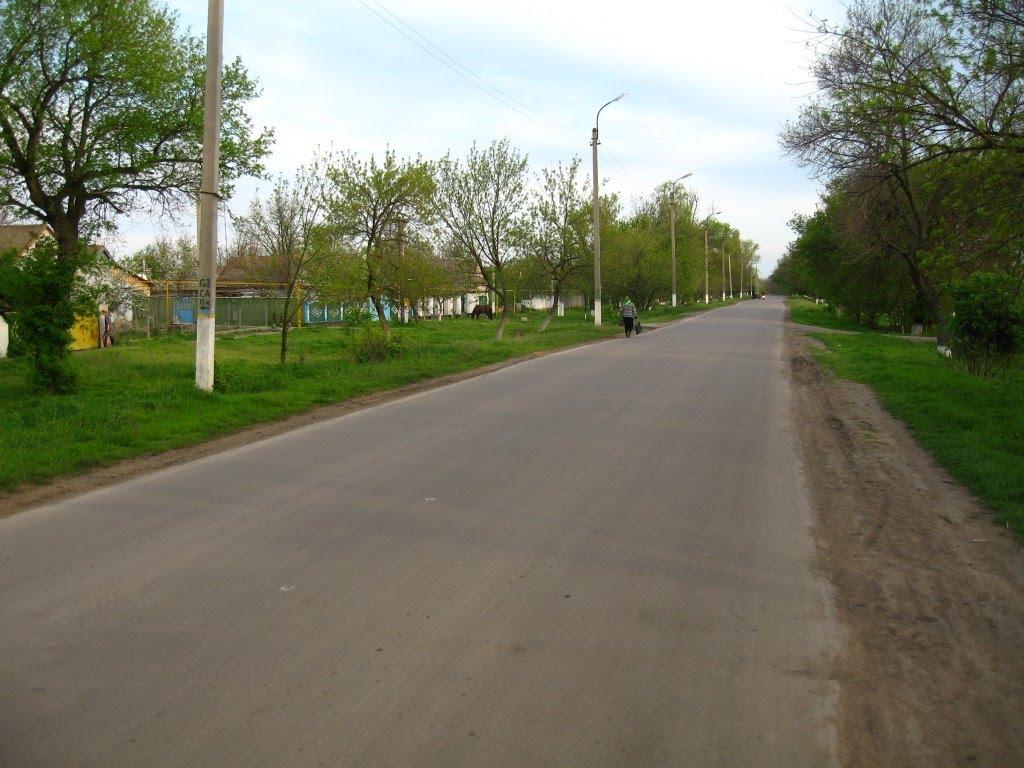 Цебрикове з panoramio.com - Цебрикове