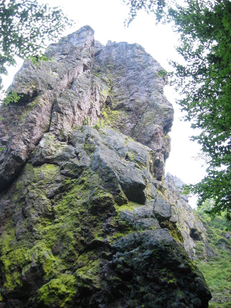 Підгірне з panoramio.com - Підгірне