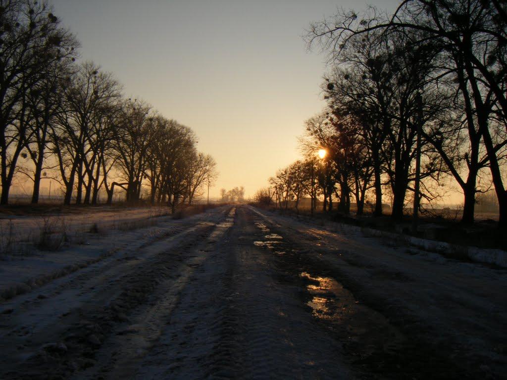 Верхоли з panoramio.com - Верхоли