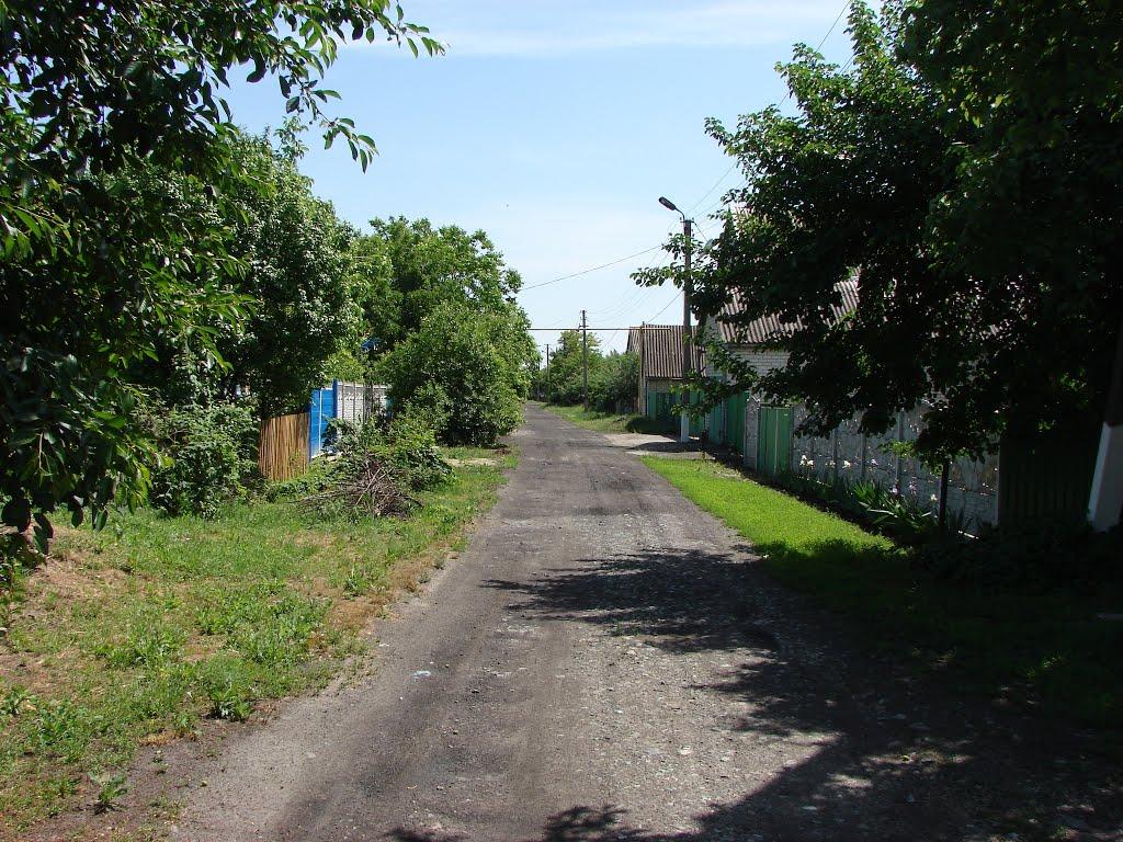 Петропавлівка з panoramio.com - Петропавлівка
