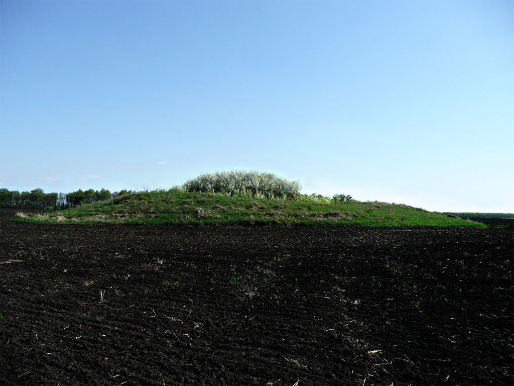 Зубівка з panoramio.com - Зубівка