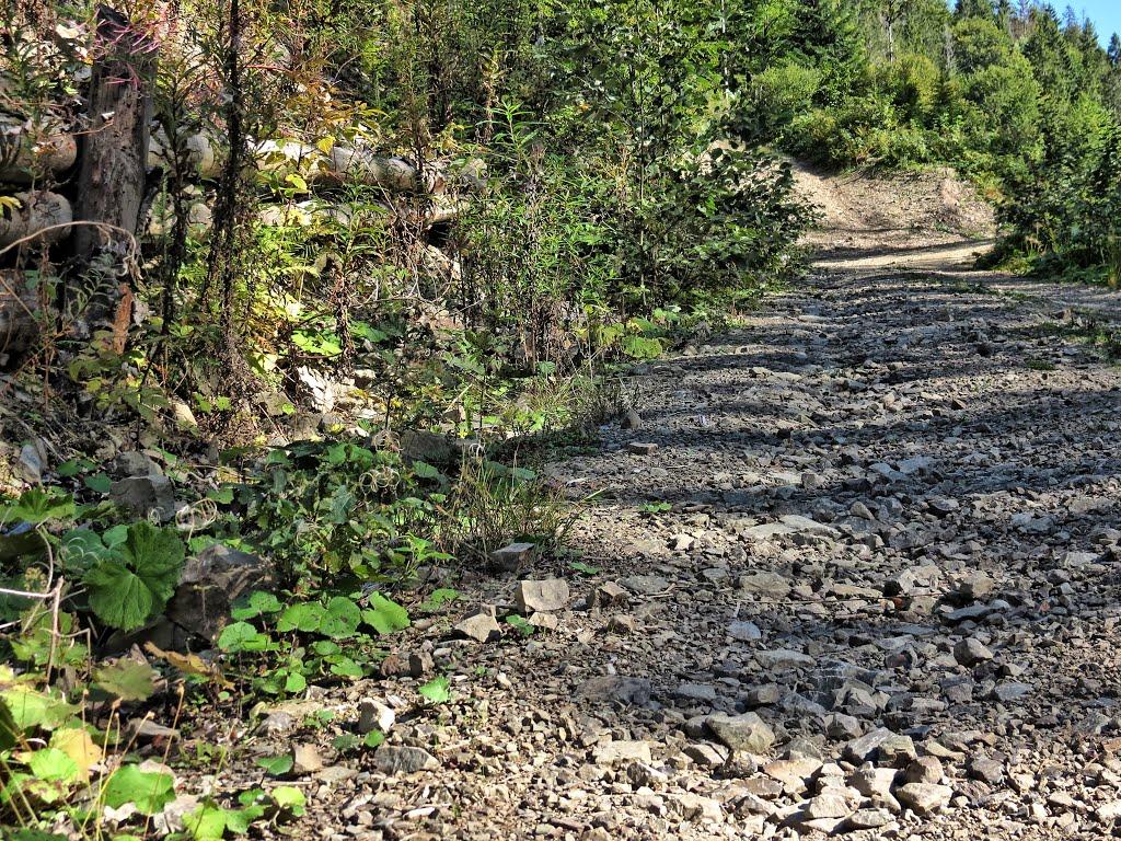 Нижня Рожанка з panoramio.com - Нижняя Рожанка