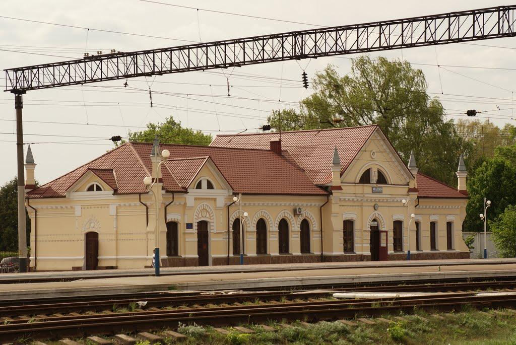 Малин з panoramio.com - Малин