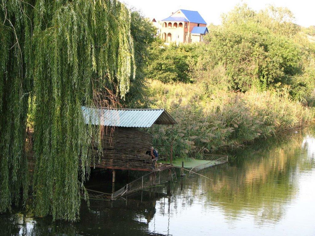 Зуївка з panoramio.com - Зуївка