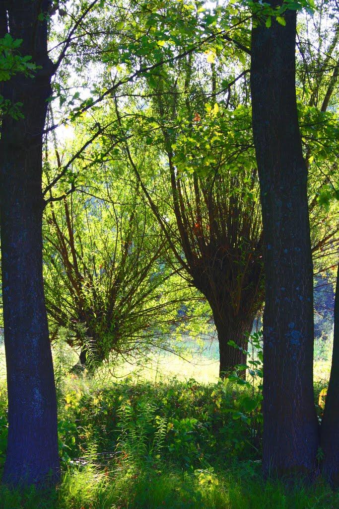 Піски з panoramio.com - Пески