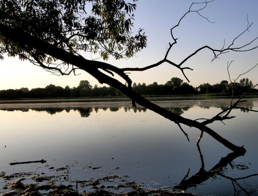 Борушківці з panoramio.com - Борушківці