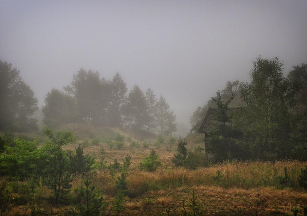 Лизунова Рудня з panoramio.com - Lyzunova Rudnya