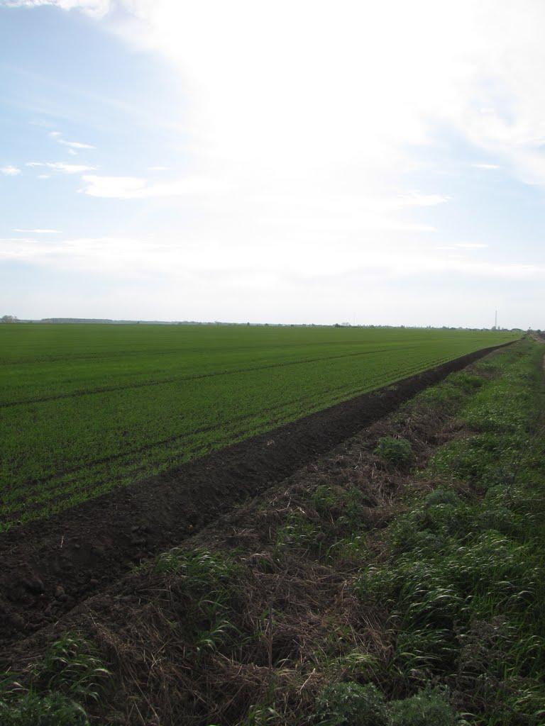 Яцьки з panoramio.com - Яцьки