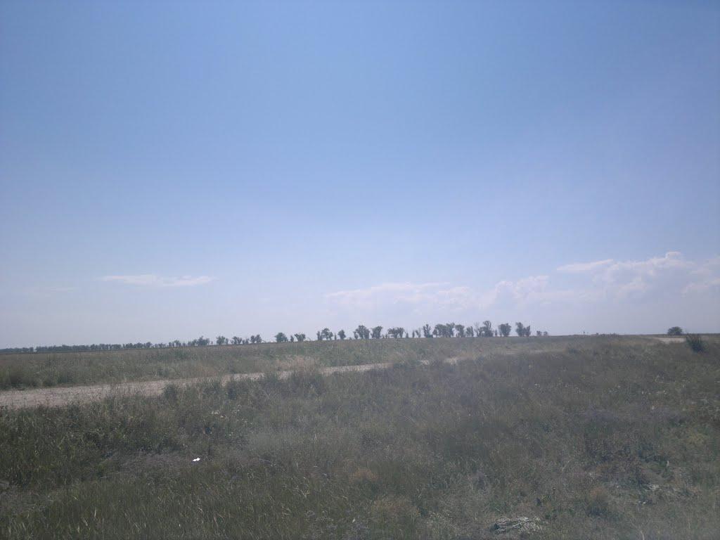 Львове з panoramio.com - Львове