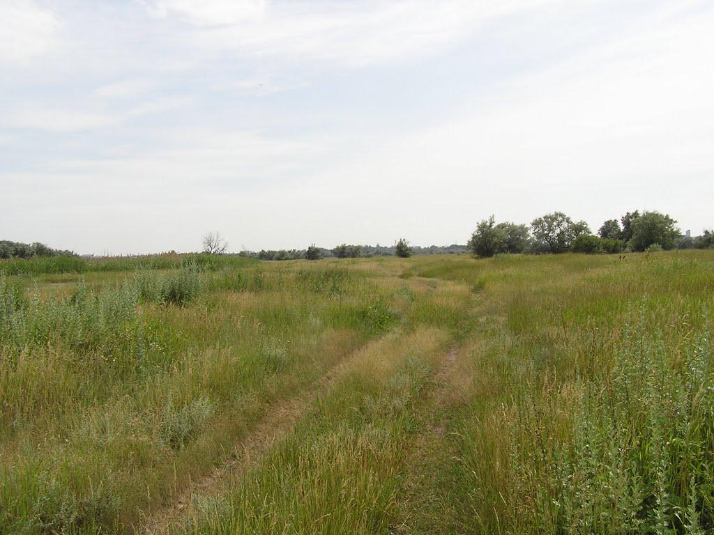 Ювілейне з panoramio.com - Yuvileyne