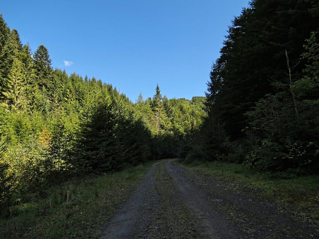 Нижня Рожанка з panoramio.com - Нижняя Рожанка
