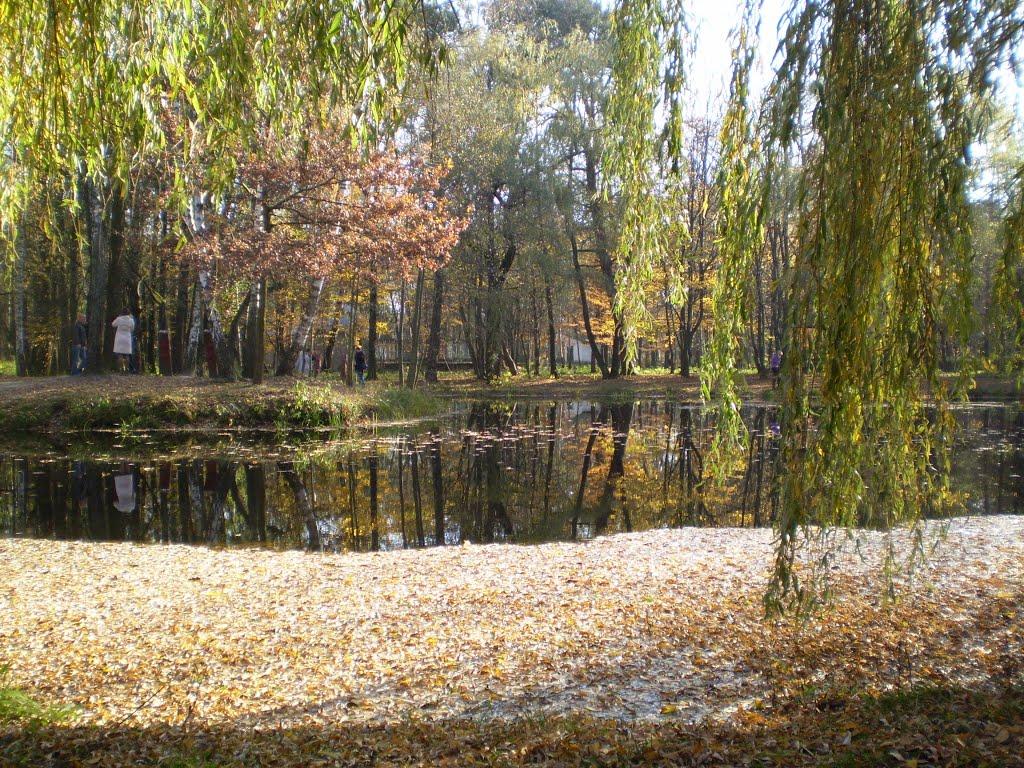 Шепетівка з panoramio.com (ч.2) - Шепетовка