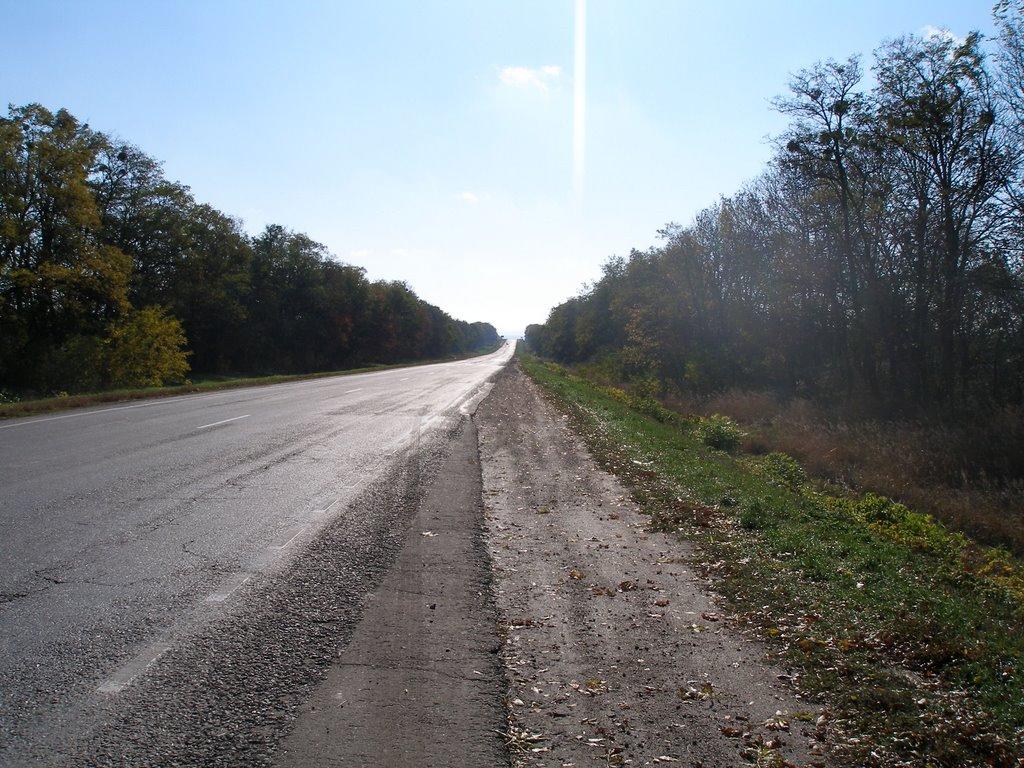 Нова Гнилиця з panoramio.com - Нова Гнилиця