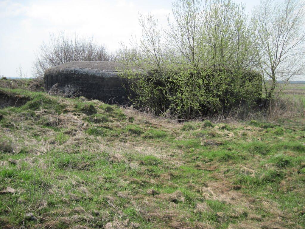 Моквинські Хутори з panoramio.com - Моквинські Хутори