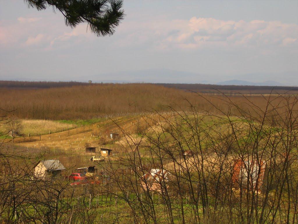 Соломоново з panoramio.com (ч.2) - Соломоново