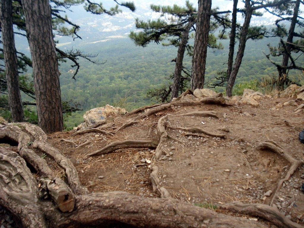 Високогірне з panoramio.com - Высокогорное