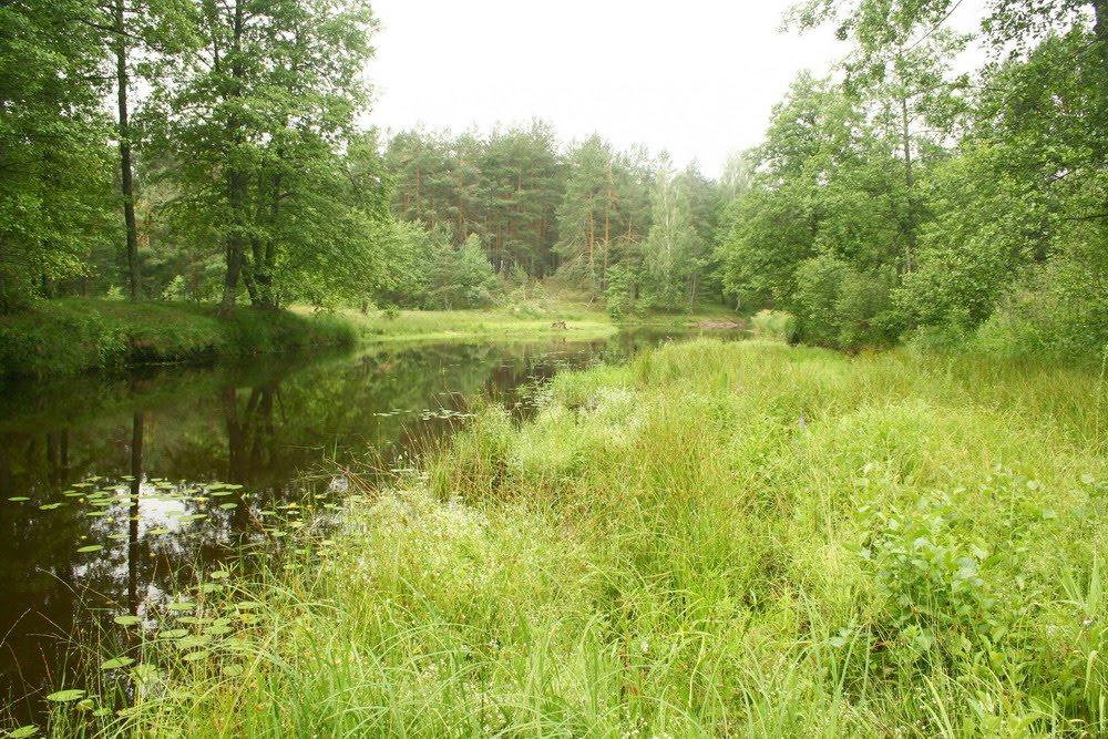 Перга з panoramio.com - Перга