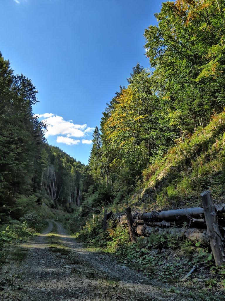 Нижня Рожанка з panoramio.com - Нижняя Рожанка