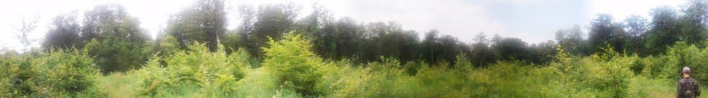 Шумляни з panoramio.com - Шумляни