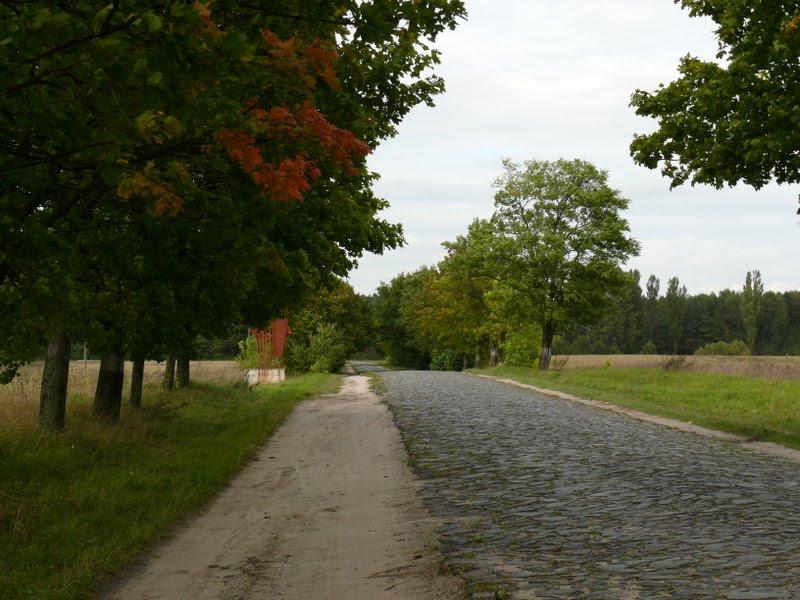 Заставне з panoramio.com - Заставне