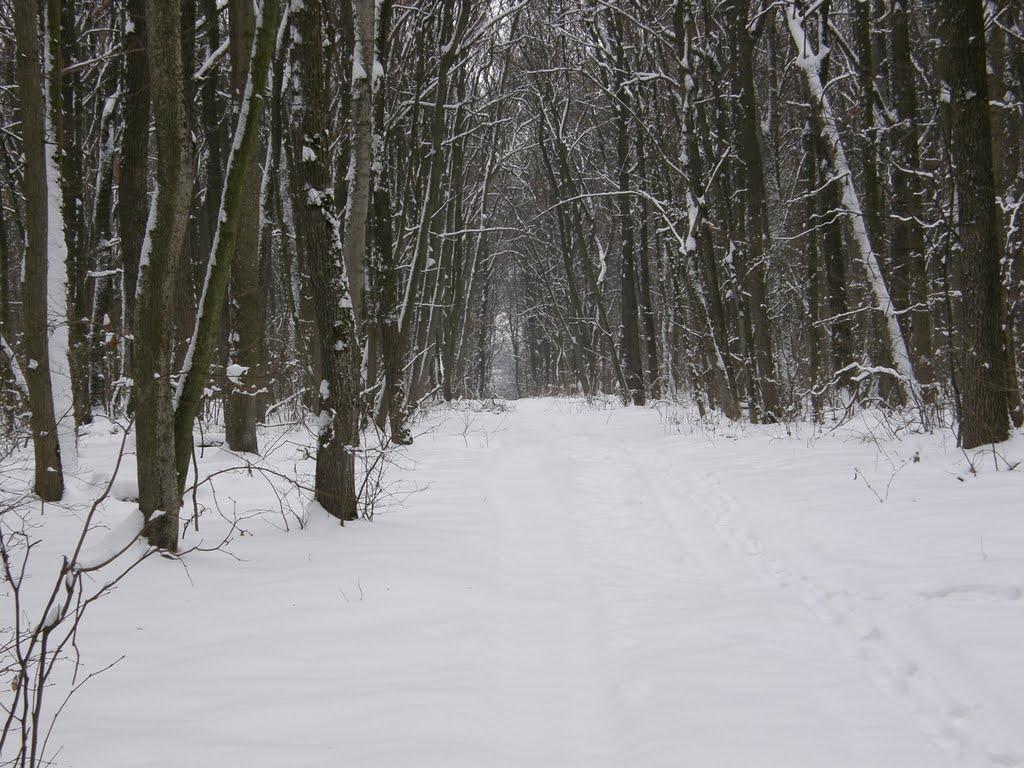 Заріг з panoramio.com - Zarig