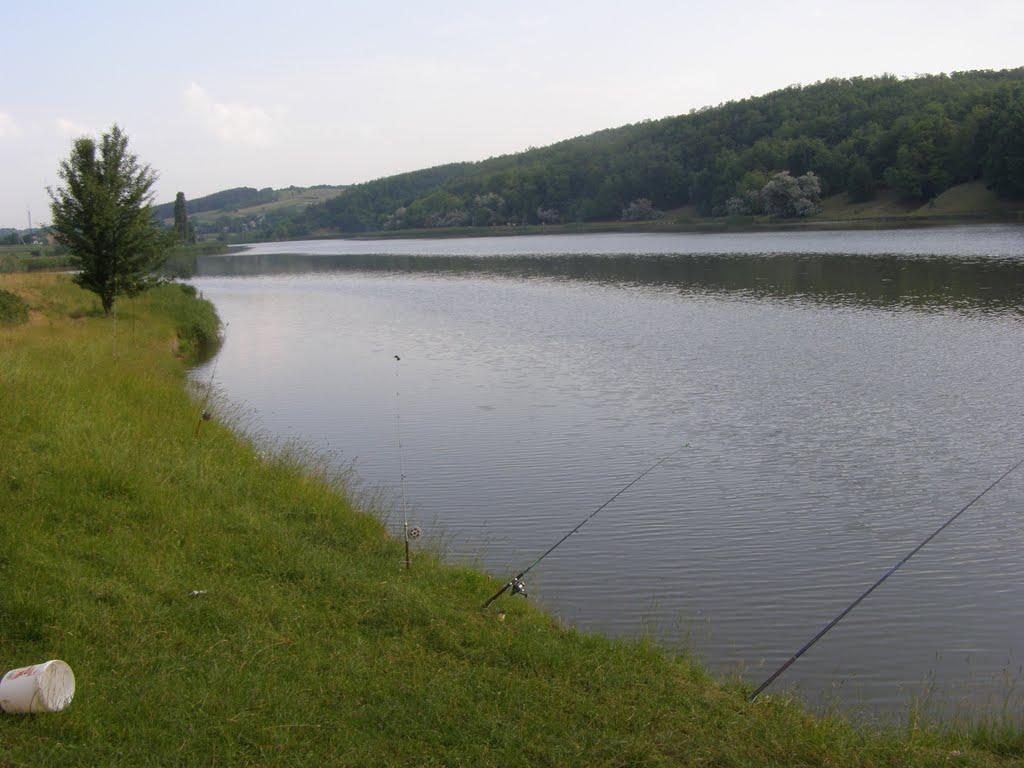 Мельники з panoramio.com - Мельники