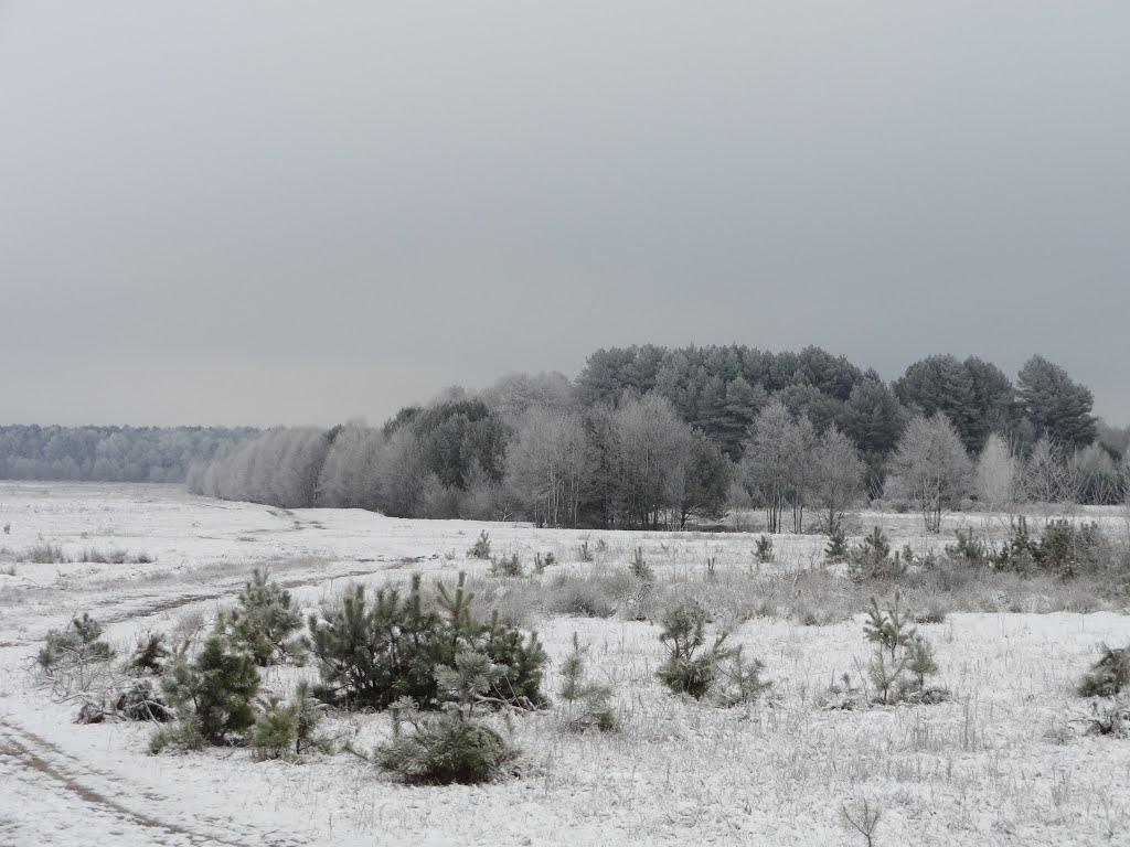 Дідовичі з panoramio.com - Didovychi