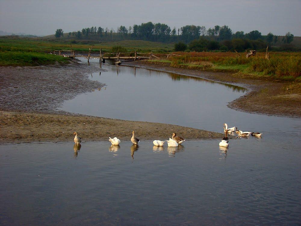 Малеве з panoramio.com - Малеве