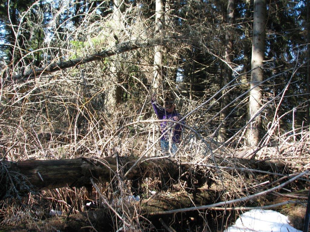 Красник з panoramio.com - Красник