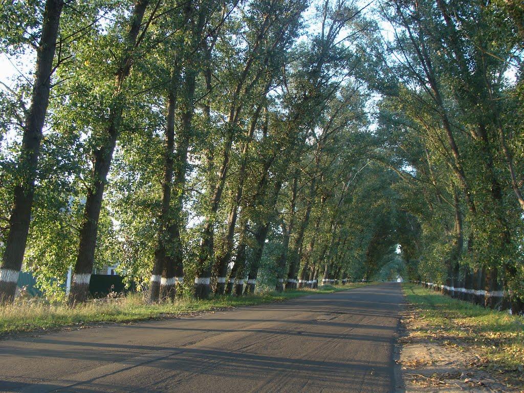 Кожухівка з panoramio.com - Кожухівка