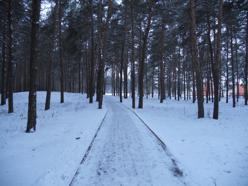 Плетенівка з panoramio.com - Pletenivka