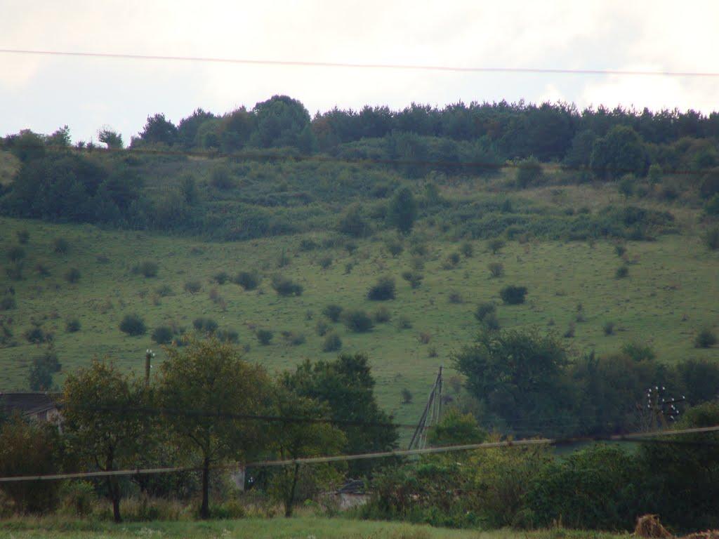 Лучинці з panoramio.com - Лучинці