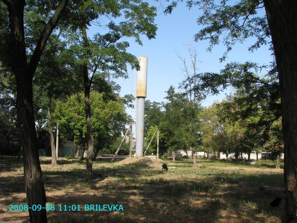 Брилівка з panoramio.com - Брилівка