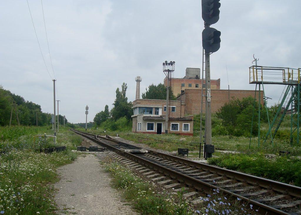Сахкамінь з panoramio.com - Сахкамінь
