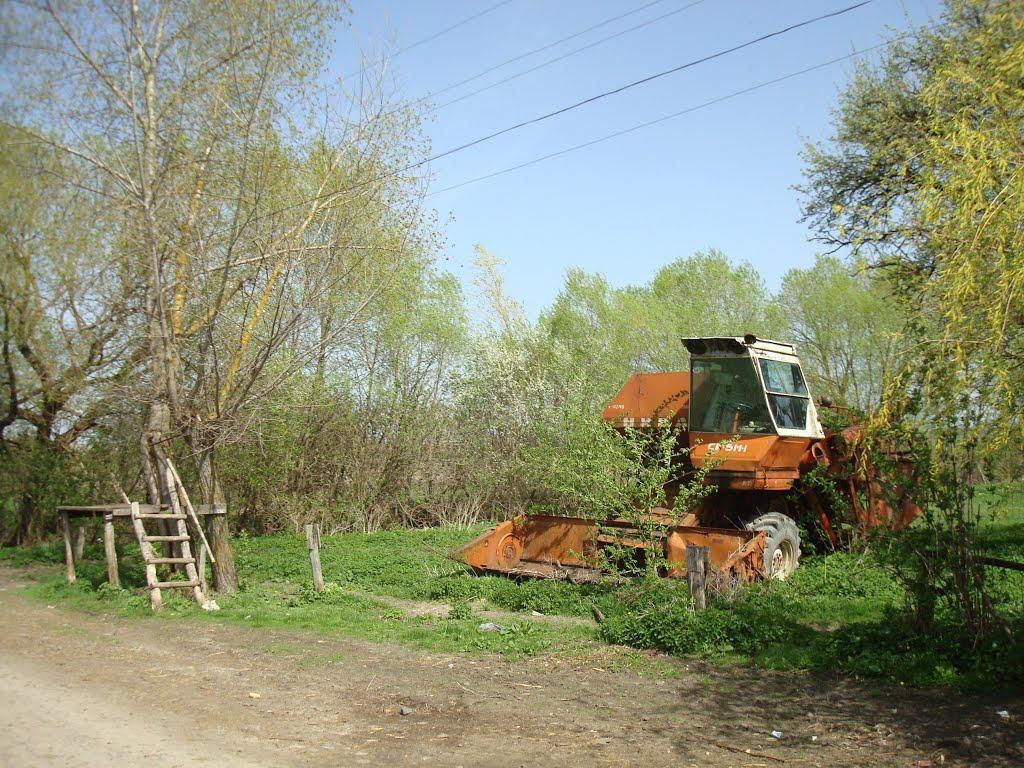 Дроздні з panoramio.com - Drozdni