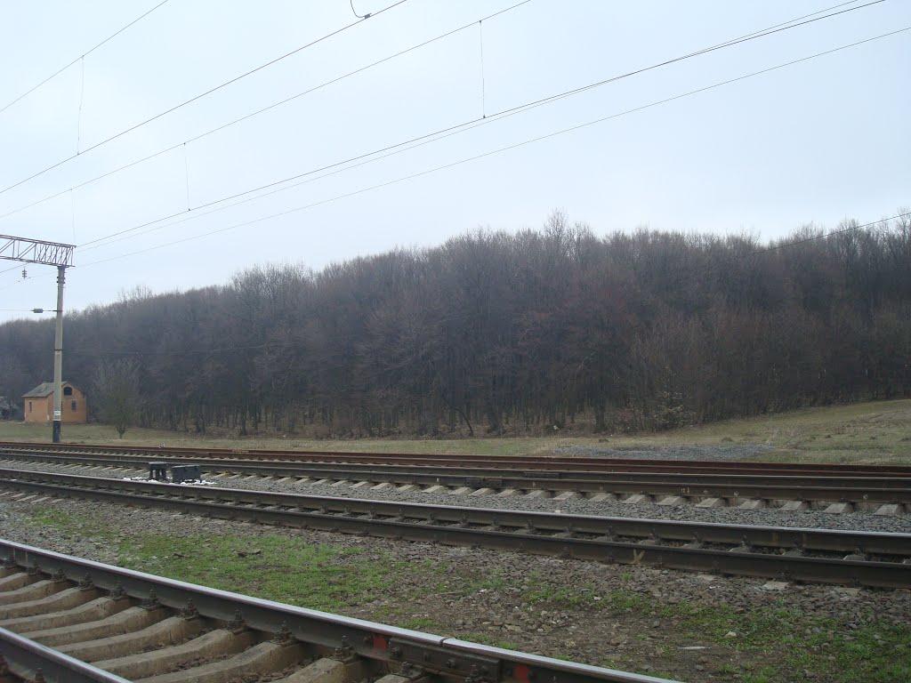 Слобода-Межирівська з panoramio.com - Слобода-Межирівська