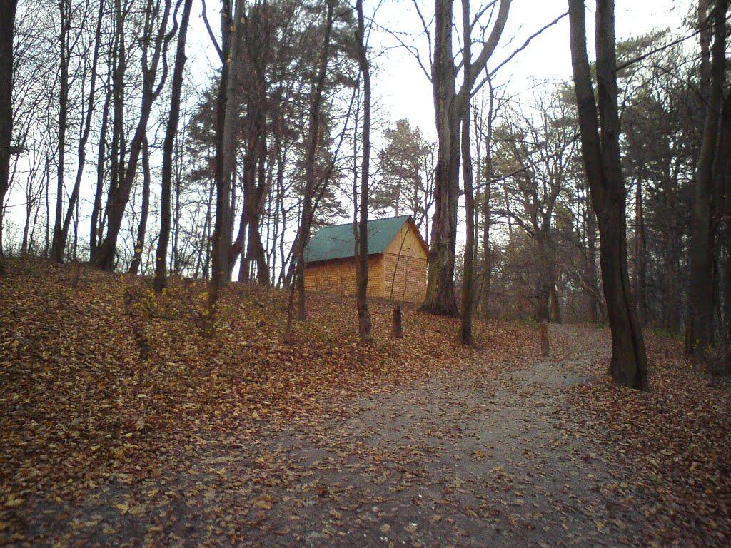 Козулька з panoramio.com - Козулька