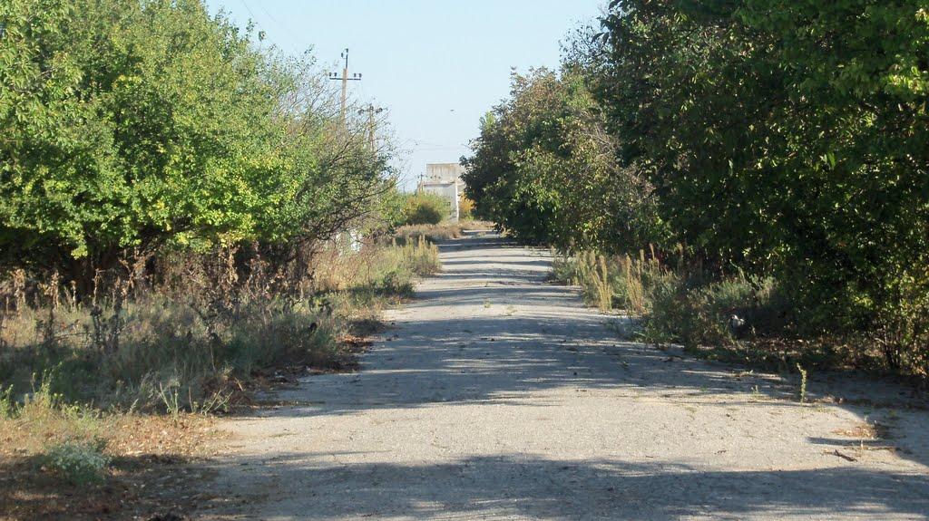 Зимине з panoramio.com - Зимине