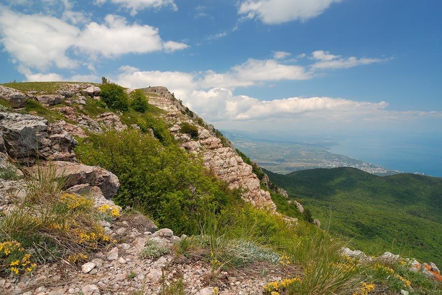 Виноградний з panoramio.com - Виноградний