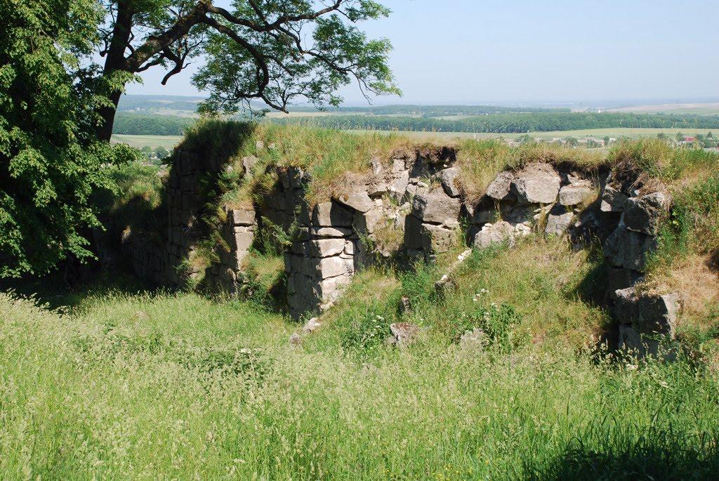 Підкамінь з panoramio.com - Подкамень
