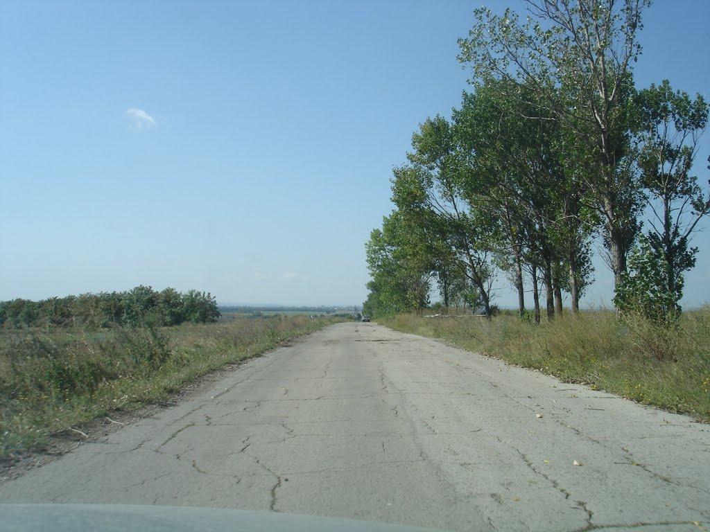 Слов'яносербка з panoramio.com - Славяносербка